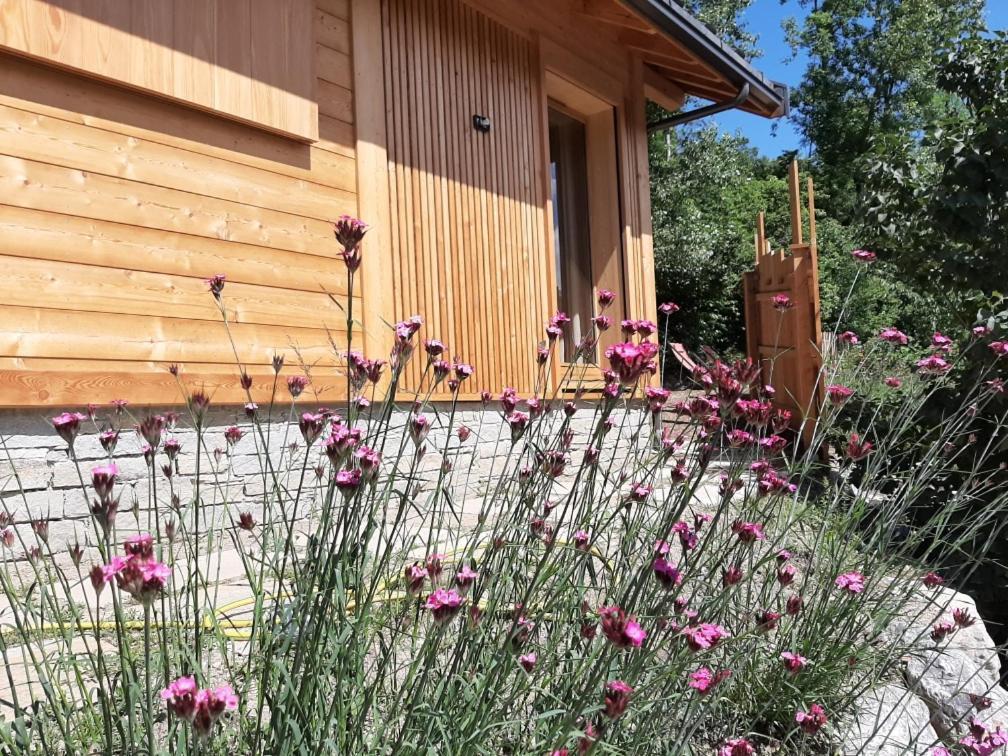Petit Chalet Neuf Independant 2 Pers "La Cabane De Jean " Бриансон Экстерьер фото